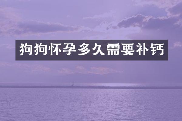 狗狗怀孕多久需要补钙