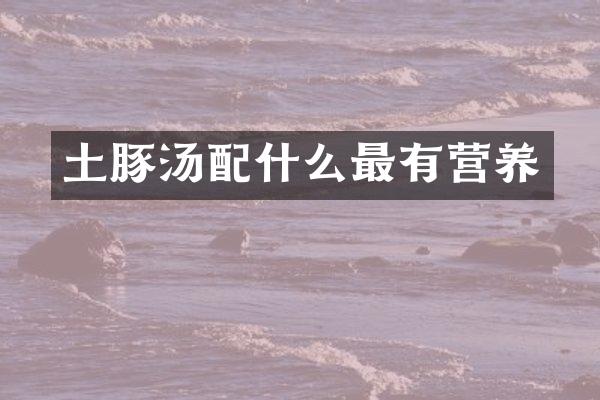 土豚汤配什么最有营养