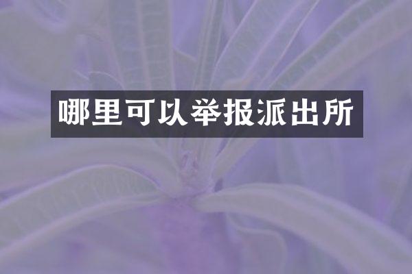 哪里可以举报派出所