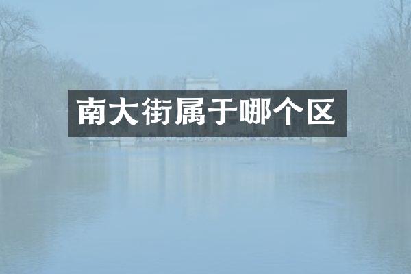 南大街属于哪个区