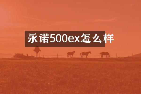 永诺500ex怎么样