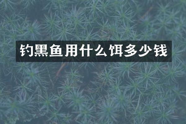 钓黑鱼用什么饵多少钱