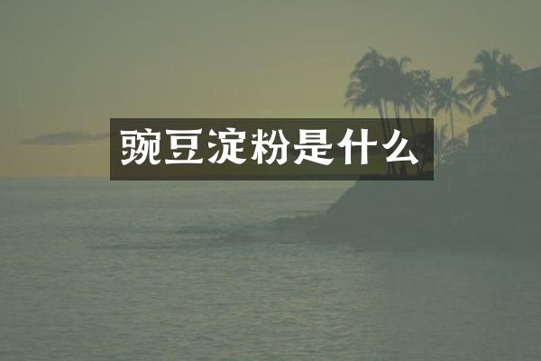 豌豆淀粉是什么