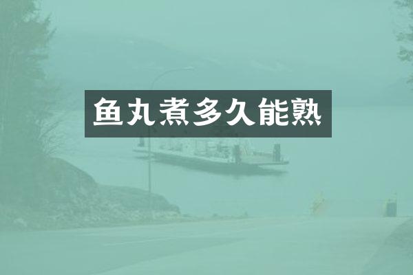 鱼丸煮多久能熟