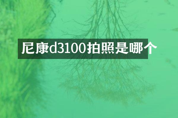 尼康d3100拍照是哪个