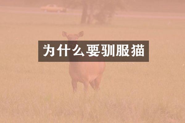 为什么要驯服猫