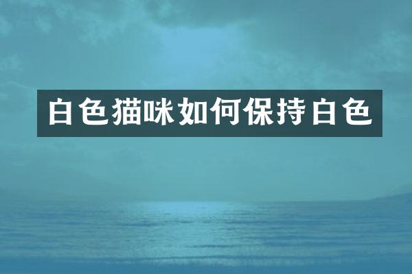 白色猫咪如何保持白色