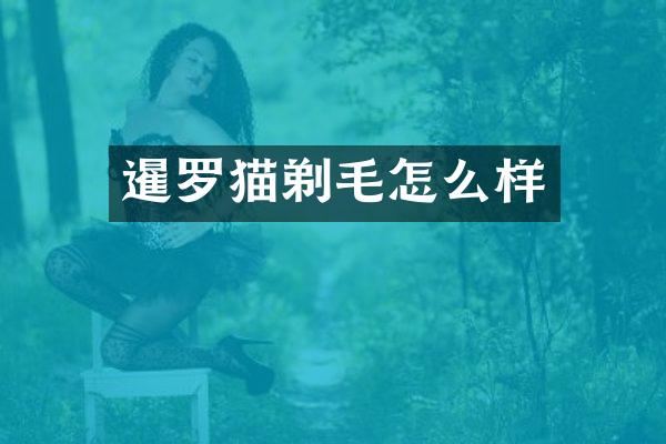 暹罗猫剃毛怎么样