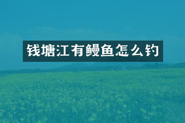 钱塘江有鳗鱼怎么钓