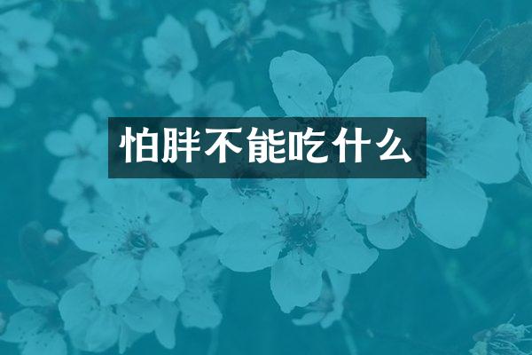 怕胖不能吃什么