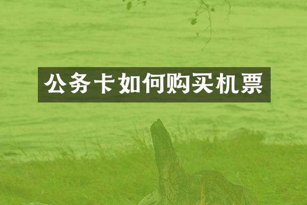 公务卡如何购买机票