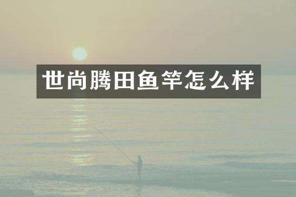 世尚腾田鱼竿怎么样