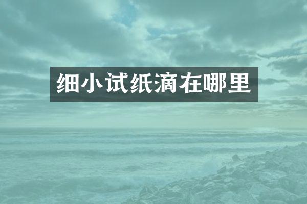 细小试纸滴在哪里