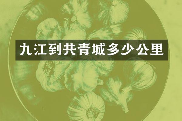 九江到共青城多少公里