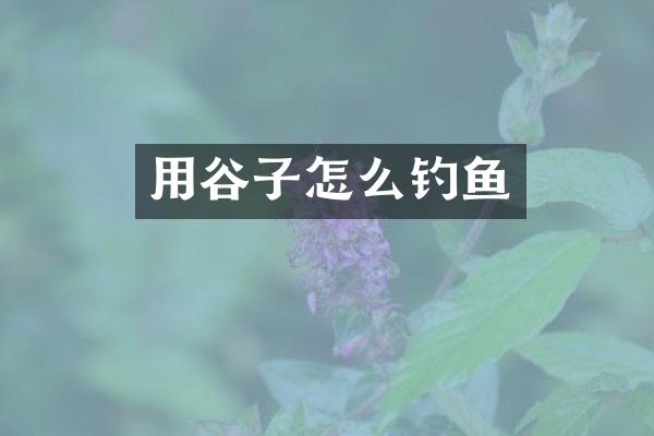 用谷子怎么钓鱼