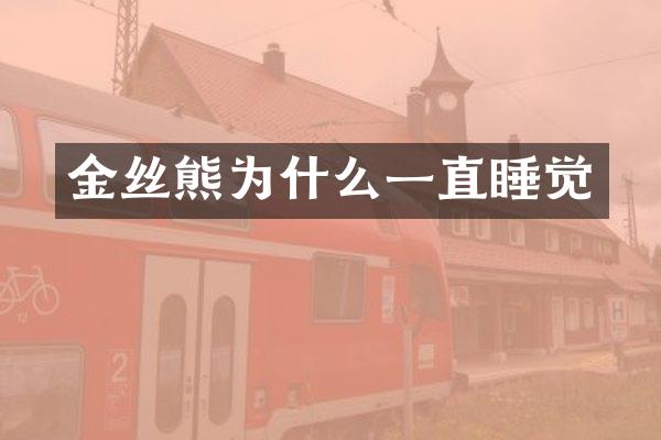 金丝熊为什么一直睡觉