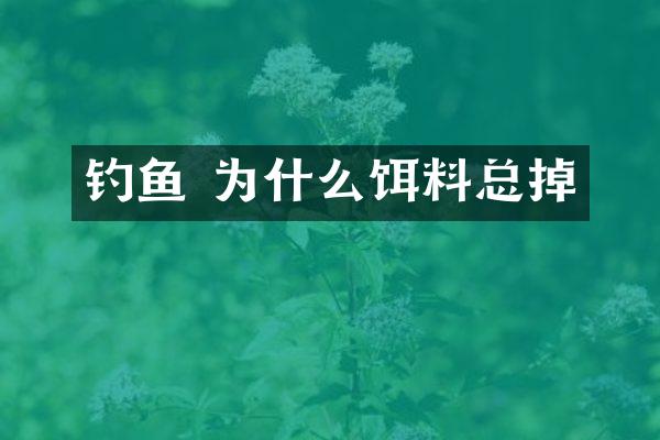 钓鱼 为什么饵料总掉