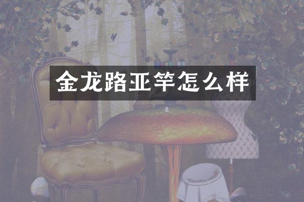 金龙路亚竿怎么样