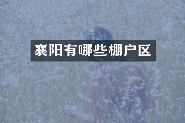 襄阳有哪些棚户区