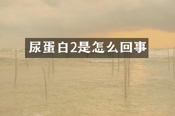 尿蛋白2是怎么回事