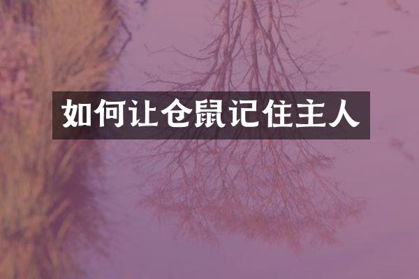 如何让仓鼠记住主人