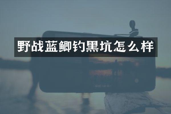 野战蓝鲫钓黑坑怎么样