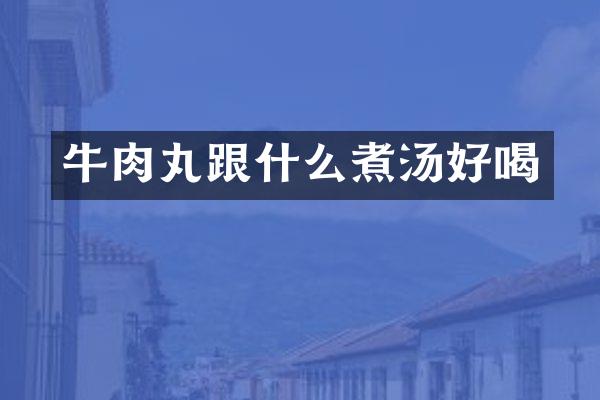 牛肉丸跟什么煮汤好喝