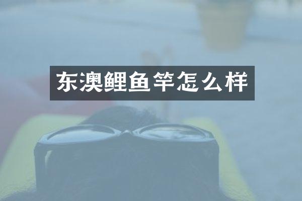 东澳鲤鱼竿怎么样