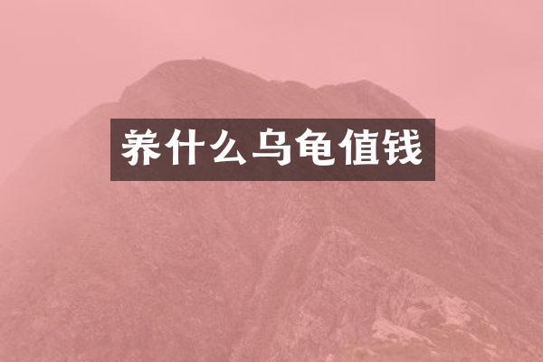 养什么乌龟值钱