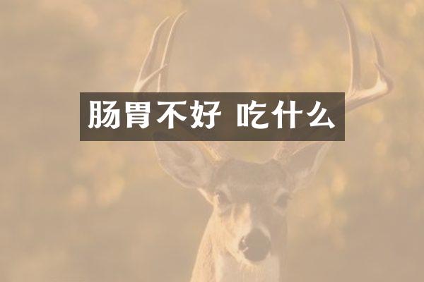 肠胃不好 吃什么