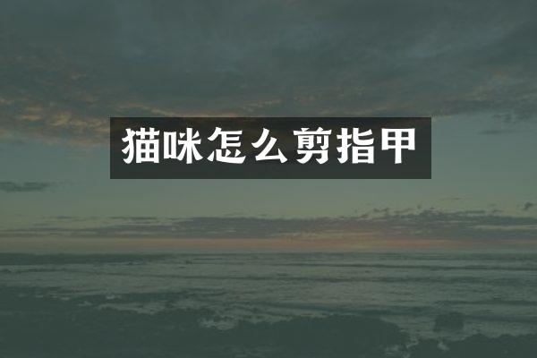 猫咪怎么剪指甲