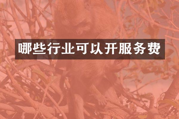 哪些行业可以开服务费