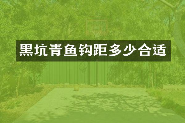 黑坑青鱼钩距多少合适