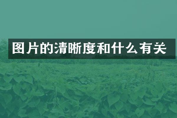 图片的清晰度和什么有关