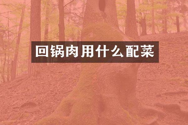 回锅肉用什么配菜