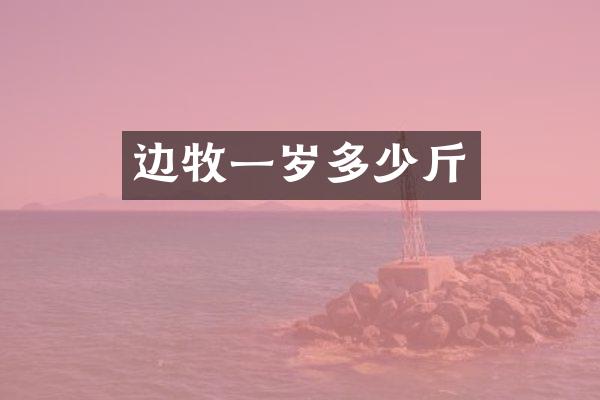 边牧一岁多少斤