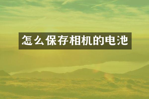怎么保存相机的电池