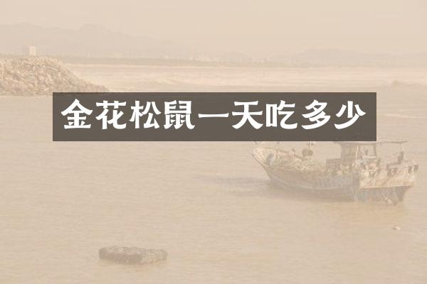 金花松鼠一天吃多少