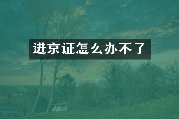 进京证怎么办不了