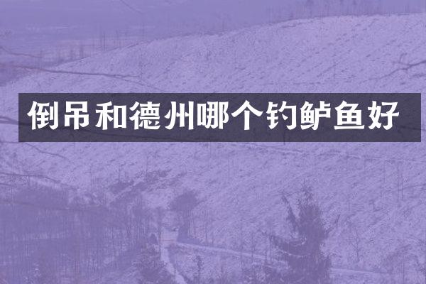 倒吊和德州哪个钓鲈鱼好