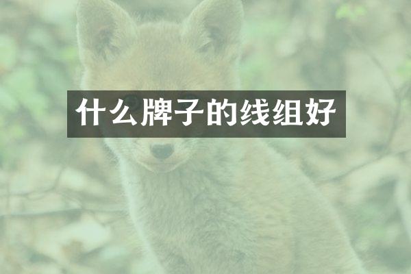 什么牌子的线组好