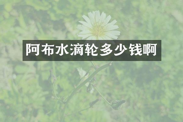 阿布水滴轮多少钱啊
