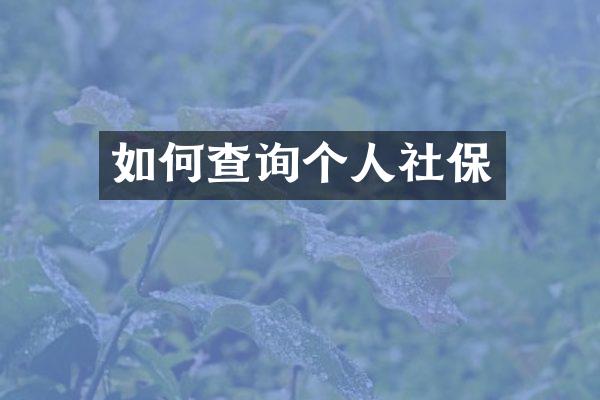 如何查询个人社保