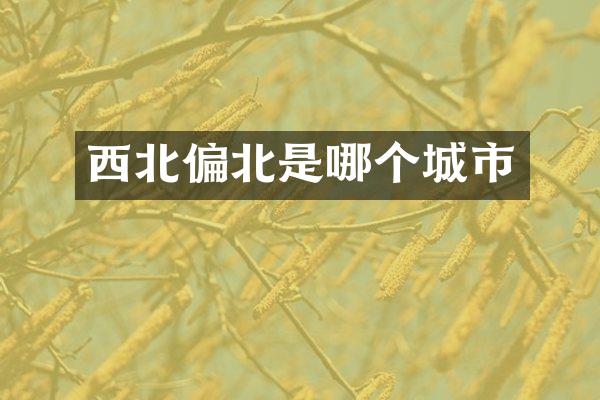 西北偏北是哪个城市