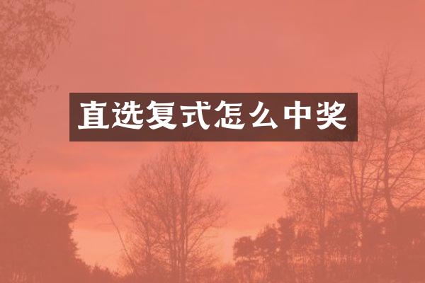 直选复式怎么中奖