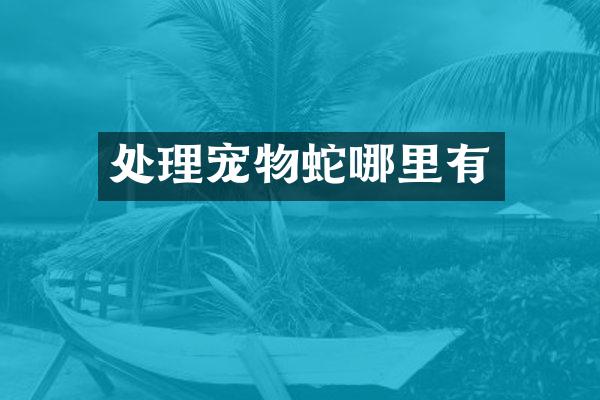 处理宠物蛇哪里有