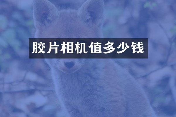 胶片相机值多少钱