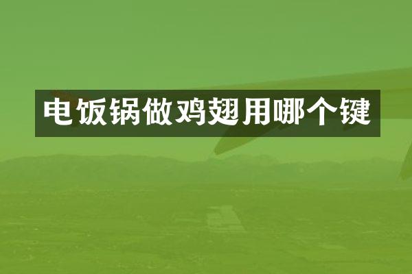 电饭锅做鸡翅用哪个键