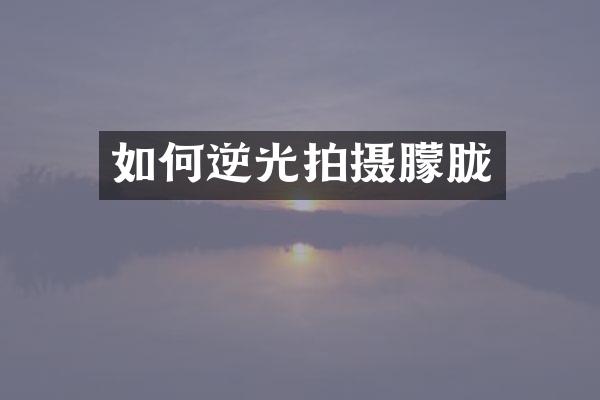 如何逆光拍摄朦胧