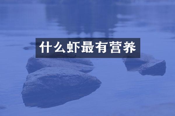 什么虾最有营养